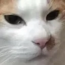 MhmYesImSure MhmYesImSure