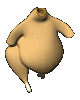ALLP_ChickenWalk