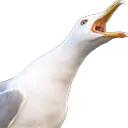 Ritje