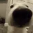 snifdog snifdog