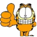 GarfieldApproves