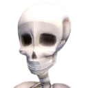 wzSkull