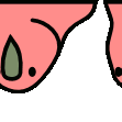 906812375875878912