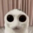 run