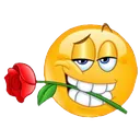 Untitled2_20220927172934removebg