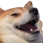 doge Discord emoji