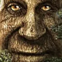 TreeAintGonnaSugarcoatIt