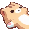 spinningkitty