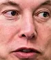 WhetMusk WhetMusk