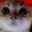 ANGYCATRAGEY