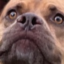 dukehi Discord emoji