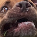 dukewowzers Discord emoji