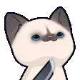 catwithknife