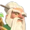 warden