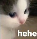 20220928_110509 Discord emoji