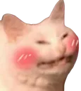 cringeflushcat