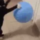 SCbounce SCbounce