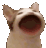 Pop Cat pop_cat Discord Emoji