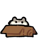 box