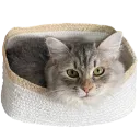 boxcat boxcat