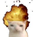 catExplode