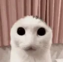 indescribablehorror