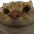 Nod animated GIF emoji from 🛕𝗭𝗼𝗱𝗶𝗮𝗻 𝗘𝗺𝗽𝗶𝗿𝗲🛕