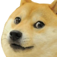 Doge custom emote | 🛕𝗭𝗼𝗱𝗶𝗮𝗻 𝗘𝗺𝗽𝗶𝗿𝗲🛕