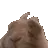 BNUY