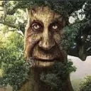 mysticaltree Discord Emoji