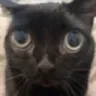 scaredpoopless