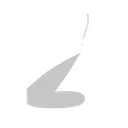 Z_