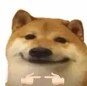 POPOdog POPOdog