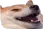 POPOdog POPOdog