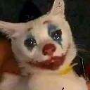 sadog