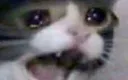 POPOcat POPOcat