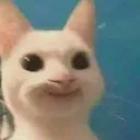 POPOcat POPOcat