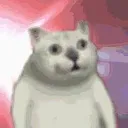 POPOcat POPOcat