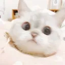 zuzuCatto Discord Emoji