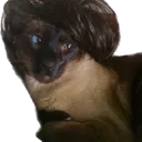 rickiedog