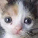 stare2