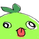 mokoderp
