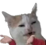 catsmudge_whatisthis_mw2