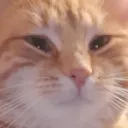 LeoNotAmused