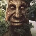 Wiseoldmysticaltree Wiseoldmysticaltree