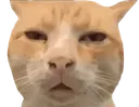 guh