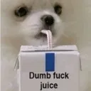 dumbfuckjuice