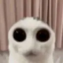 AAAGGH AAAGGH