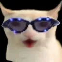 catChest catChest