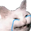wheezecatCry